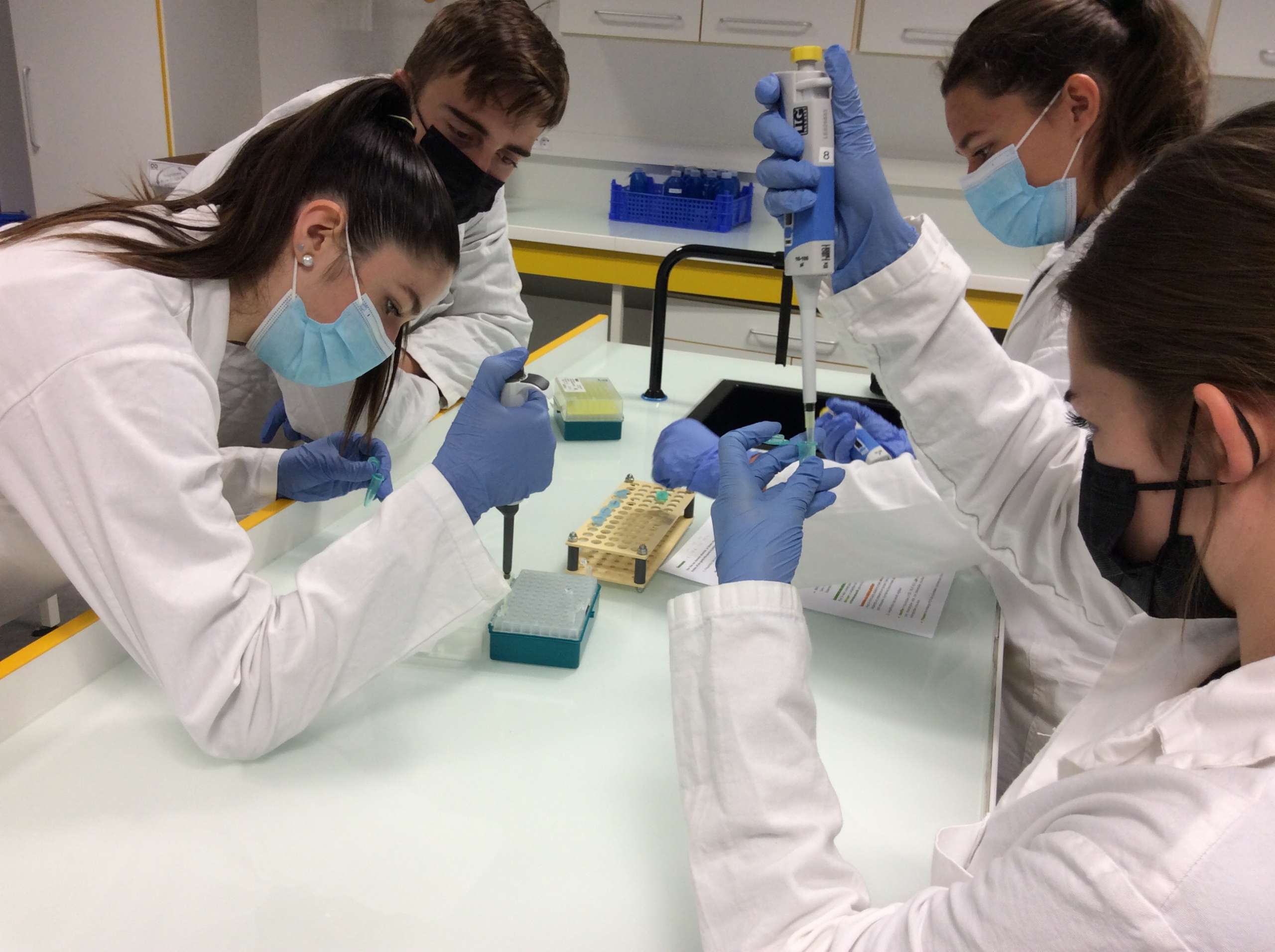 PCR en spécialité SVT